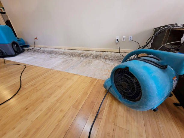 Professional Water Removal technician working in Vaughan, MS